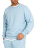 Reichstadt Herren Regular Fit Pullover Logo-Stitching in Baby Blue