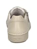 Josef Seibel Sneaker Claire 03 in beige