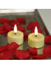 Deluxe Homeart 2x LED Teelichter Mia flackernd mit Batterien D: 4,1cm in gelb