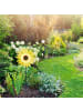 relaxdays 2 x Windrad Sonnenblume in Gelb