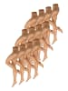 Nur Die  Feinstrumpfhose Transparent 15 DEN in Amber
