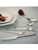 Villeroy & Boch 30-tlg. Tafelbesteck V&B Tools in in silber