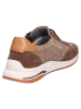 Sioux Sneaker in braun
