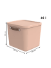 Rotho 2er-Set Aufbewahrungskiste 40l in Meadow rose