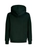 JACK & JONES Junior Hoodie 'Buster' in grün