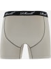 Reell Boxershort "Trunks Boxershort" in Braun