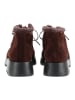 Högl Stiefelette 2-102435 in Braun