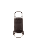 Franky Einkaufroller ER10 mit separater Kühltasche in black