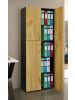 VCM  Büroschrank Bücher Ordner Aktenschrank Lona 5fach in Anthrazit / Honig-Eiche