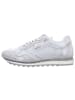 Cetti Sneaker Low in silber