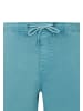 Protest " PRTHoover in Arctic Green