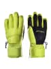 Zanier Handschuhe Scheffau ZX TA in grün