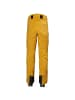 Helly Hansen M ALPHA LIFALOFT PANT in Beere