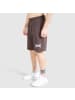 SMILODOX Shorts Classic Pro in Braun