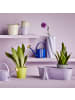 Butlers Vase TWIST 2er-Set in Violett