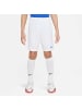 Nike Shorts für Jungen in uni