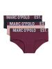 Marc O'Polo Panty Essentials in dark navy/dark mauve/cherry