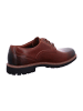 Clarks Klassische Schnürschuhe in Braun