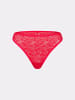 Erlich Textil  Spitzen Slip Dreamy Lace Brazil Slip in chilirot