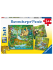 Ravensburger Ravensburger Kinderpuzzle 05180 - Im Urwald - 3x49 Teile Puzzle für Kinder ab...