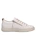 Paul Green Sneaker in beige