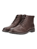 Clarks Stiefelette ALDWIN2 CAP Braun