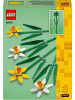 LEGO Icons Narzissen in Mehrfarbig ab 8 Jahre
