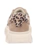 Apple of Eden Sneaker Low in braun