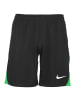 Nike Performance Trainingsshorts Academy Pro in schwarz / grün