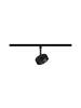 paulmann URail Schienenspot 3-Step-Dim Circle  180lm 5W 2700 - 4000K dimmbar 230V Schwar