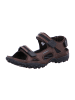 Allrounder Trekkingsandalen in Braun