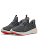 Puma Laufschuh "Softride Carson SlipTech" in Grau