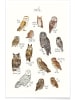 Juniqe Poster "Owls" in Braun & Weiß