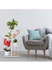 relaxdays Blumentreppe in Weiß - (B)44 x (H)81 x (T)24,5 cm