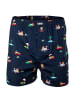 Happy Shorts Web-Boxershorts 3er Pack in Poolparty/Donkeys/Mexican Cactus