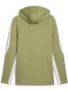Puma Jacke "TeamEVOSTRIPE Hooded Jacket" in Grün