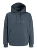 JACK & JONES PLUS Kapuzenpullover in Turbulence