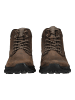 Skechers Stiefelette in Braun