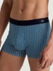 Calida Herren Shorts in Pottery bl
