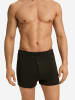 Hanro Boxer Casuals Daywear in earthy ink melange