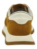 GANT Footwear Sneaker in Gold-Braun