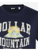 Schott N.Y.C. T-Shirt in blau