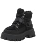 Buffalo Stiefelette in schwarz