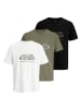 Jack and Jones 3er Pack T-Shirts JCOSTANCE Text Tee SS Crew Neck in Mehrfarbig