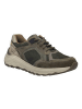 Josef Seibel Schnürschuhe  in Grün