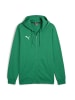 Puma Sweatshirt teamGOAL Casuals Hooded Jacket in grün