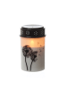 MARELIDA 2er Set LED Grabkerze Grablicht Pusteblume in weiß/schwarz