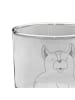 Mr. & Mrs. Panda Tumbler Glas Corgie ohne Spruch in Transparent