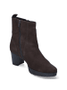 Gabor Ankle Boots in Braun