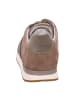 Gabor Freizeitschuhe in Beige